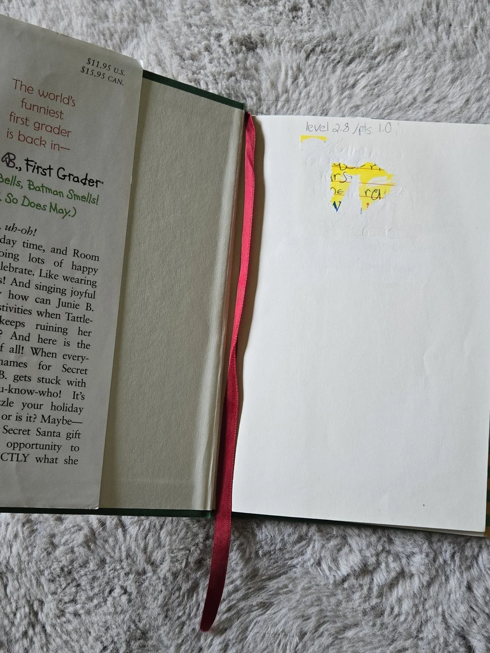Junie B. Jones Kids Books - 3
